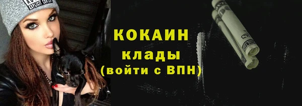 тгк Алексин