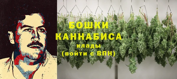 сатива Армянск