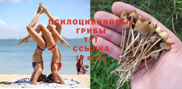 ешки Алзамай