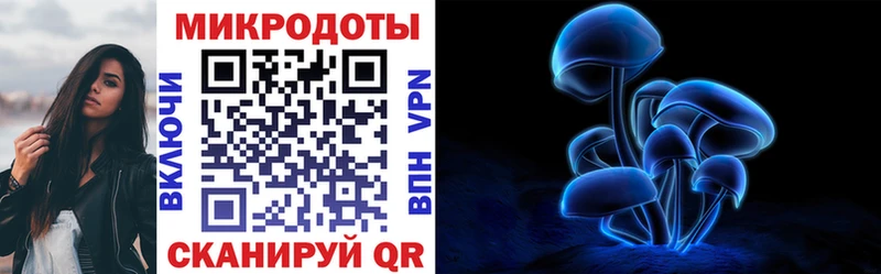 Галлюциногенные грибы прущие грибы Белая Холуница