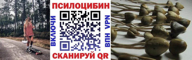 Псилоцибиновые грибы Psilocybine cubensis  Белая Холуница 